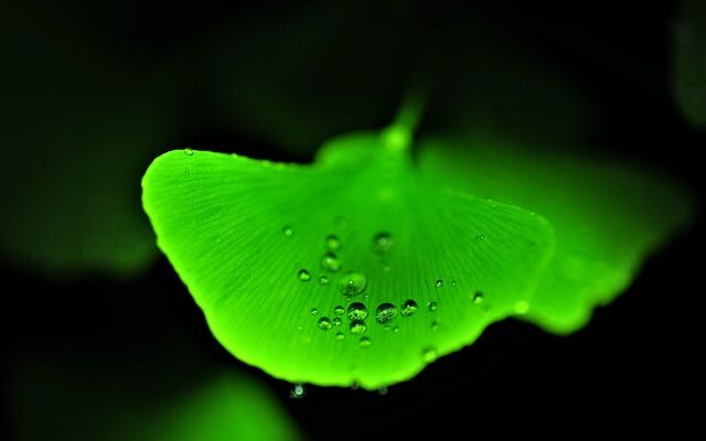 Professionel hjemmeside uden binding: Sådan undgår du skjulte gebyrer